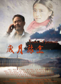 回转(2017)