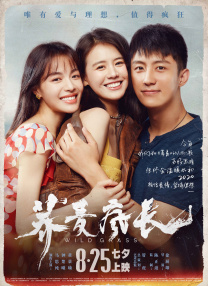 回转(2017)
